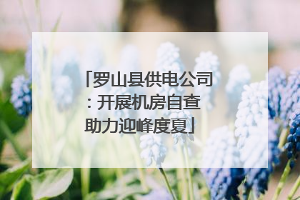 罗山县供电公司：开展机房自查 助力迎峰度夏