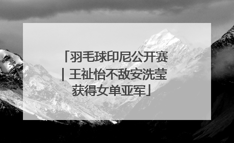 羽毛球印尼公开赛｜王祉怡不敌安洗莹 获得女单亚军
