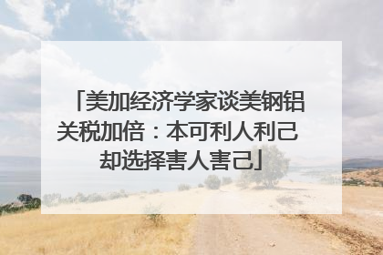 美加经济学家谈美钢铝关税加倍：本可利人利己 却选择害人害己
