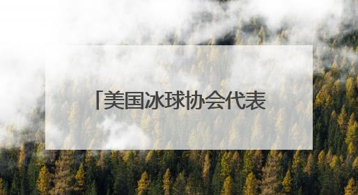 美国冰球协会代表团访问黑龙江 共话冰球运动发展