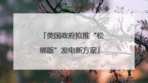 美国政府拟推“松绑版”发电新方案