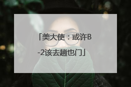 美大使：或许B-2该去趟也门