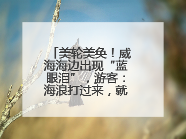 美轮美奂！威海海边出现“蓝眼泪”，游客：海浪打过来，就像星河一样
