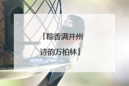 粽香满并州 诗韵万柏林