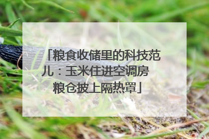 粮食收储里的科技范儿：玉米住进空调房 粮仓披上隔热罩