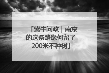 紫牛问政｜南京的这条路缘何留了200米不种树