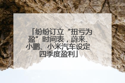 纷纷订立“扭亏为盈”时间表，蔚来、小鹏、小米汽车设定四季度盈利