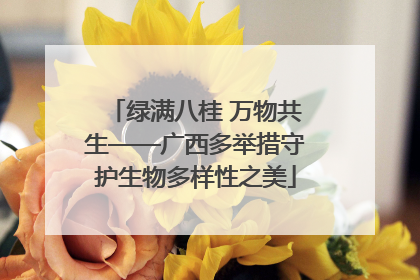 绿满八桂 万物共生——广西多举措守护生物多样性之美