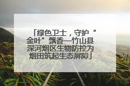 绿色卫士，守护“金叶”飘香—竹山县深河烟区生物防控为烟田筑起生态屏障