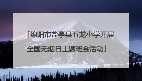 绵阳市盐亭县五龙小学开展全国无烟日主题班会活动