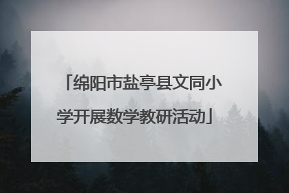 绵阳市盐亭县文同小学开展数学教研活动