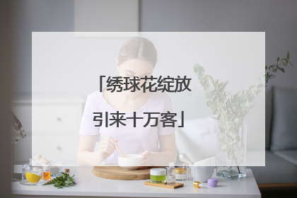 绣球花绽放 引来十万客