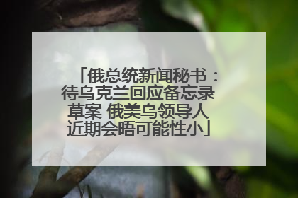 俄总统新闻秘书：待乌克兰回应备忘录草案 俄美乌领导人近期会晤可能性小