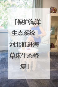 保护海洋生态系统 河北推进海草床生态修复