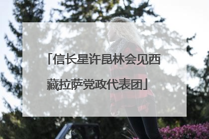 信长星许昆林会见西藏拉萨党政代表团