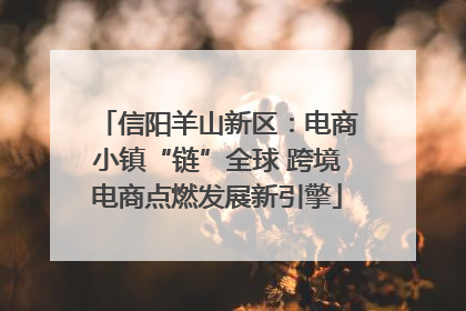 信阳羊山新区：电商小镇“链”全球 跨境电商点燃发展新引擎