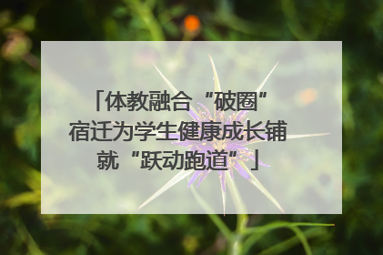 体教融合“破圈” 宿迁为学生健康成长铺就“跃动跑道”