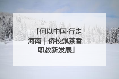 何以中国·行走海南｜侨校飘茶香 职教新发展