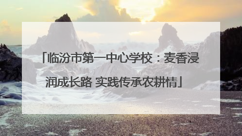 临汾市第一中心学校：麦香浸润成长路 实践传承农耕情