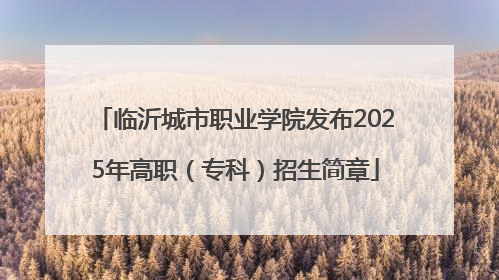 临沂城市职业学院发布2025年高职（专科）招生简章