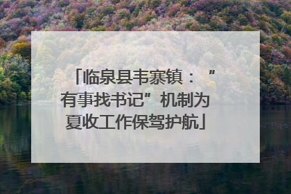 临泉县韦寨镇：“有事找书记”机制为夏收工作保驾护航