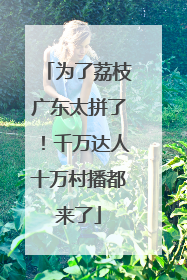 为了荔枝广东太拼了！千万达人十万村播都来了
