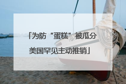 为防“蛋糕”被瓜分 美国罕见主动推销