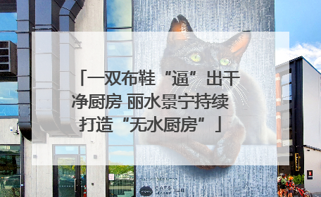 一双布鞋“逼”出干净厨房 丽水景宁持续打造“无水厨房”