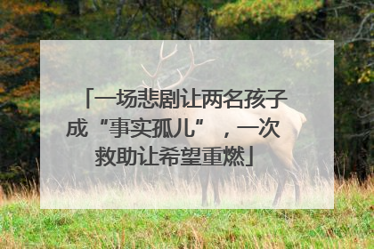 一场悲剧让两名孩子成“事实孤儿”，一次救助让希望重燃