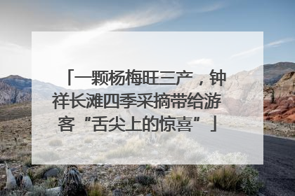 一颗杨梅旺三产，钟祥长滩四季采摘带给游客“舌尖上的惊喜”