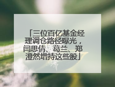 三位百亿基金经理调仓路径曝光，闫思倩、葛兰、郑澄然增持这些股