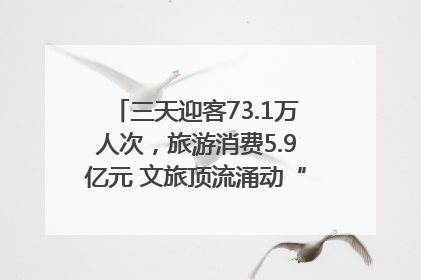 三天迎客73.1万人次，旅游消费5.9亿元 文旅顶流涌动“江宁style”