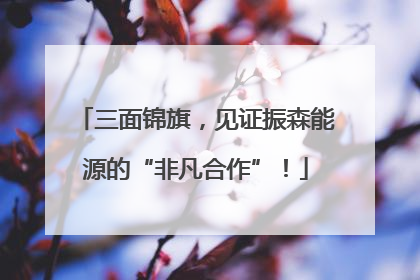 三面锦旗，见证振森能源的“非凡合作”！