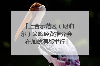上合示范区（尼泊尔）文旅经贸推介会在加德满都举行