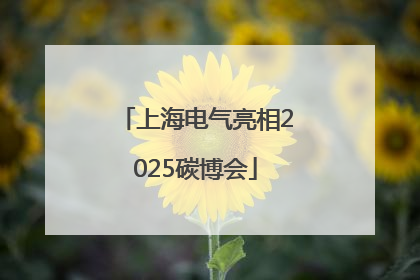 上海电气亮相2025碳博会