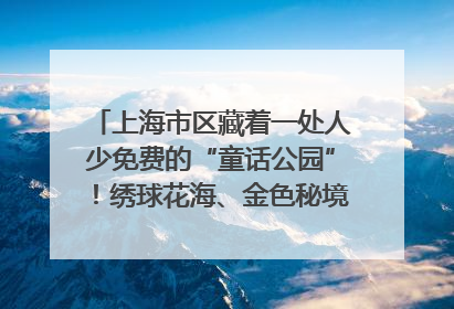 上海市区藏着一处人少免费的“童话公园”！绣球花海、金色秘境……地铁直达→