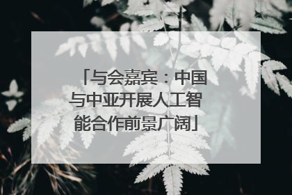与会嘉宾：中国与中亚开展人工智能合作前景广阔