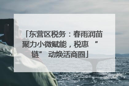 东营区税务：春雨润苗聚力小微赋能，税惠 “链” 动焕活商圈