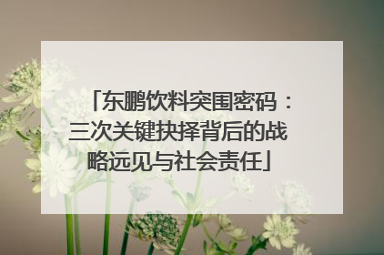 东鹏饮料突围密码：三次关键抉择背后的战略远见与社会责任