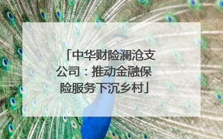 中华财险澜沧支公司：推动金融保险服务下沉乡村