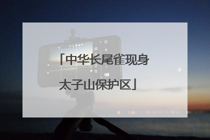 中华长尾雀现身太子山保护区