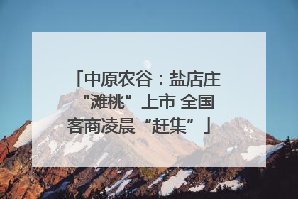 中原农谷：盐店庄“滩桃”上市 全国客商凌晨“赶集”