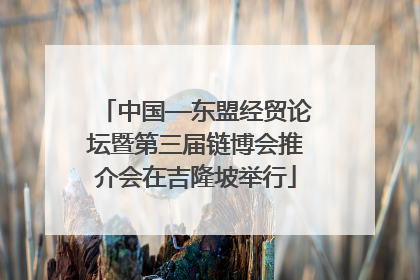 中国—东盟经贸论坛暨第三届链博会推介会在吉隆坡举行