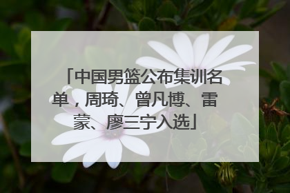 中国男篮公布集训名单，周琦、曾凡博、雷蒙、廖三宁入选