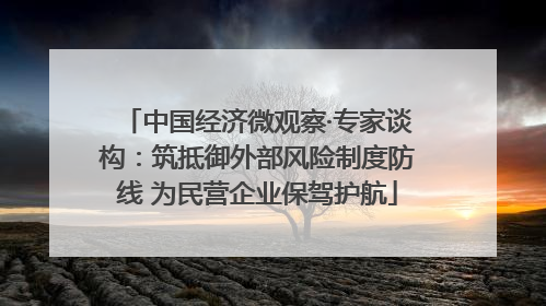 中国经济微观察·专家谈构：筑抵御外部风险制度防线 为民营企业保驾护航