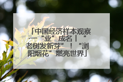 中国经济样本观察·一“业”成名丨“老树发新芽”！“浏阳烟花”燃亮世界