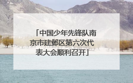 中国少年先锋队南京市建邺区第六次代表大会顺利召开
