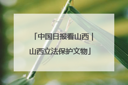 中国日报看山西｜山西立法保护文物