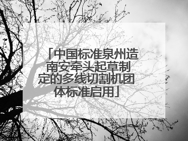 中国标准泉州造 南安牵头起草制定的多线切割机团体标准启用