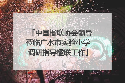 中国楹联协会领导莅临广水市实验小学调研指导楹联工作